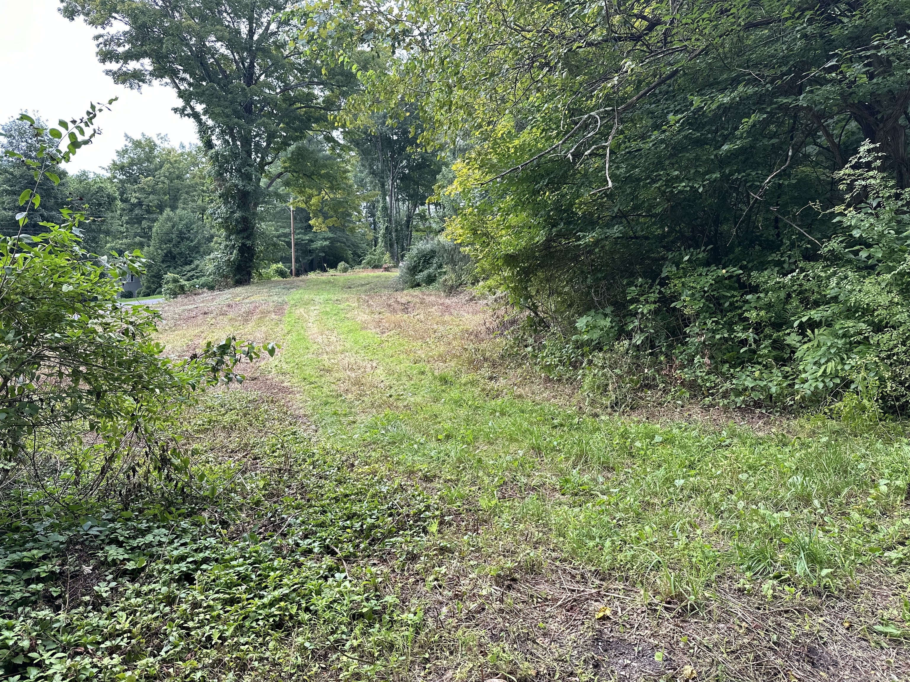 410 Nettleton Hollow Road, Washington, Connecticut image 3