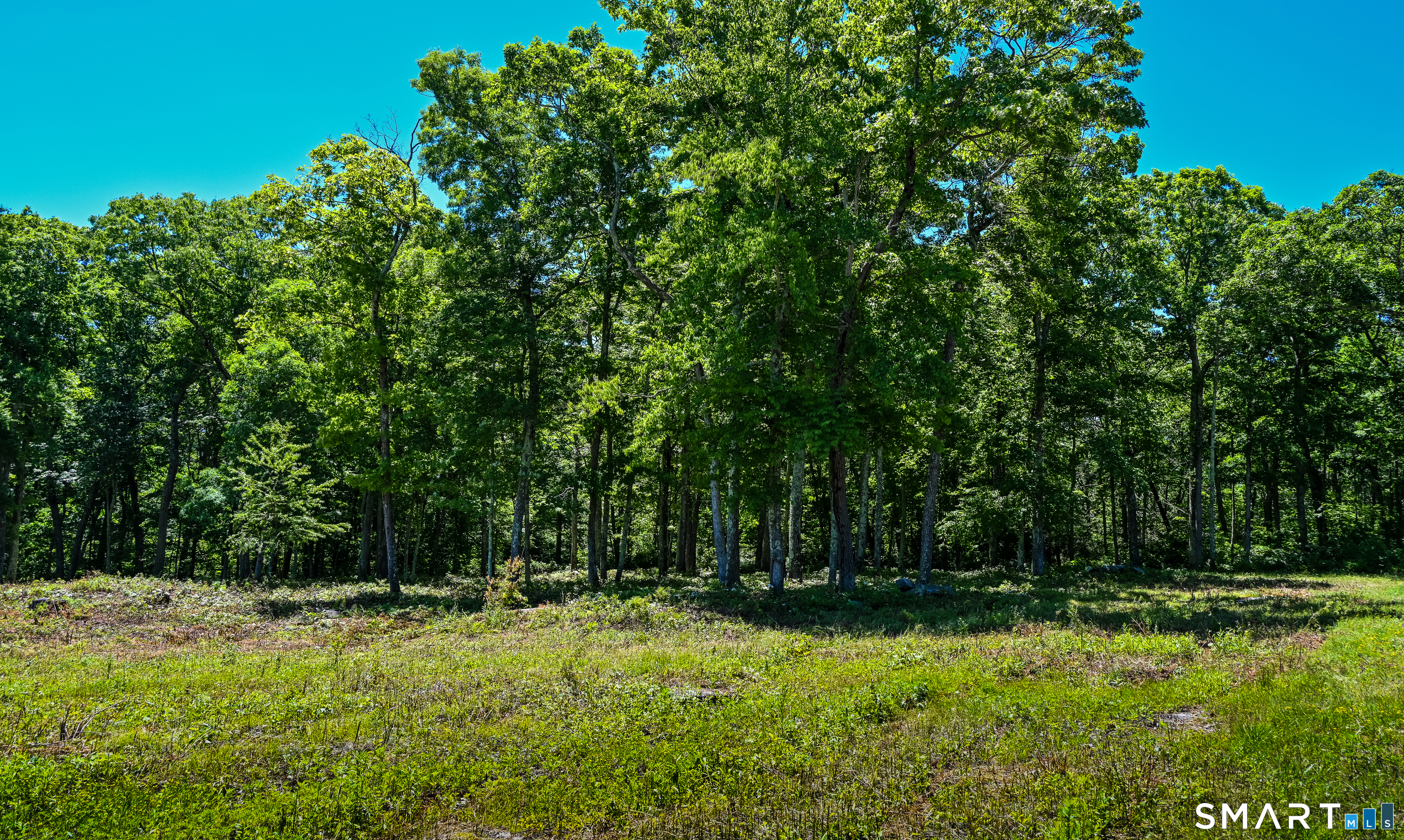 Westwoods Road #2