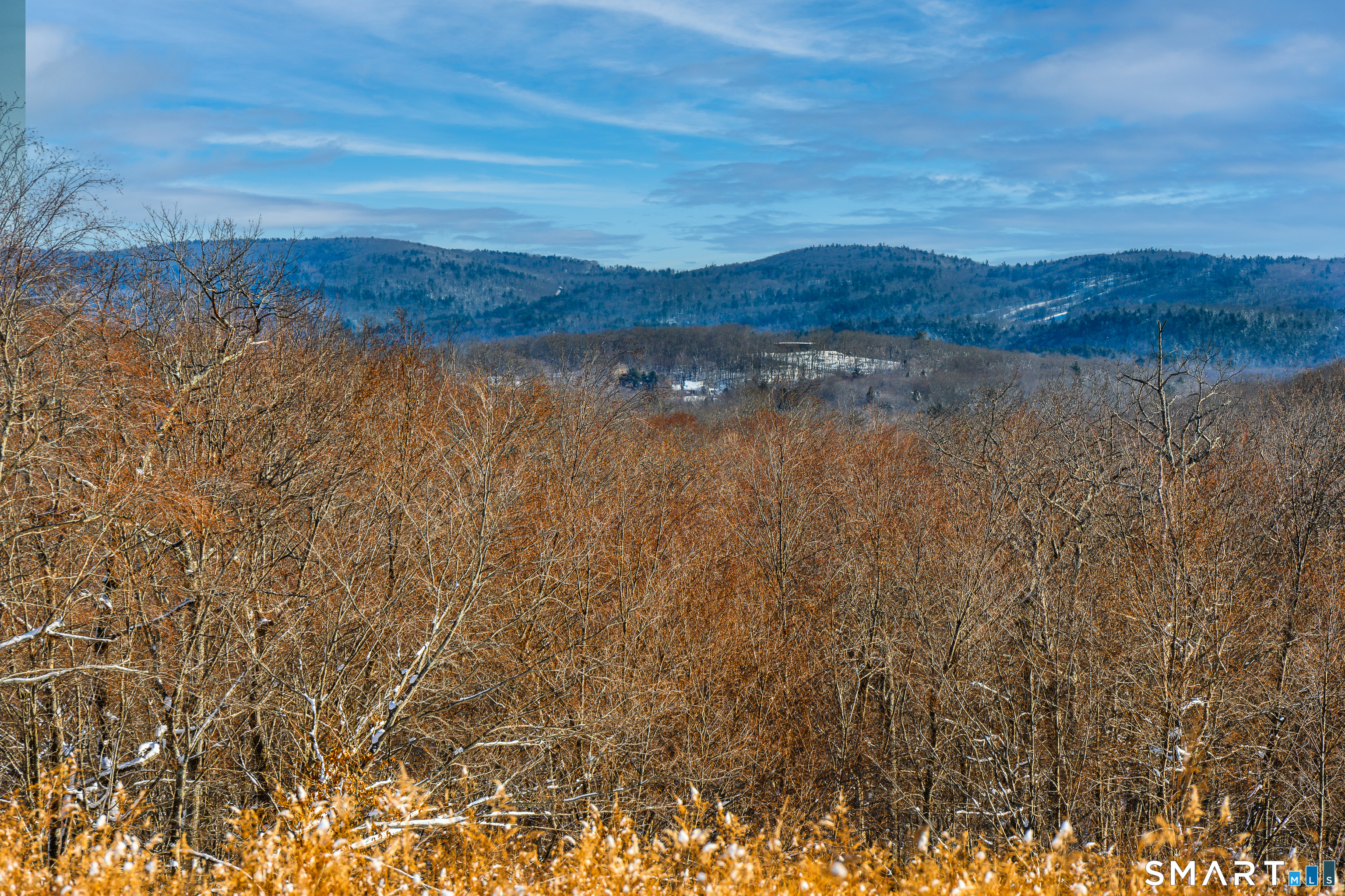 Westwoods Road #2
