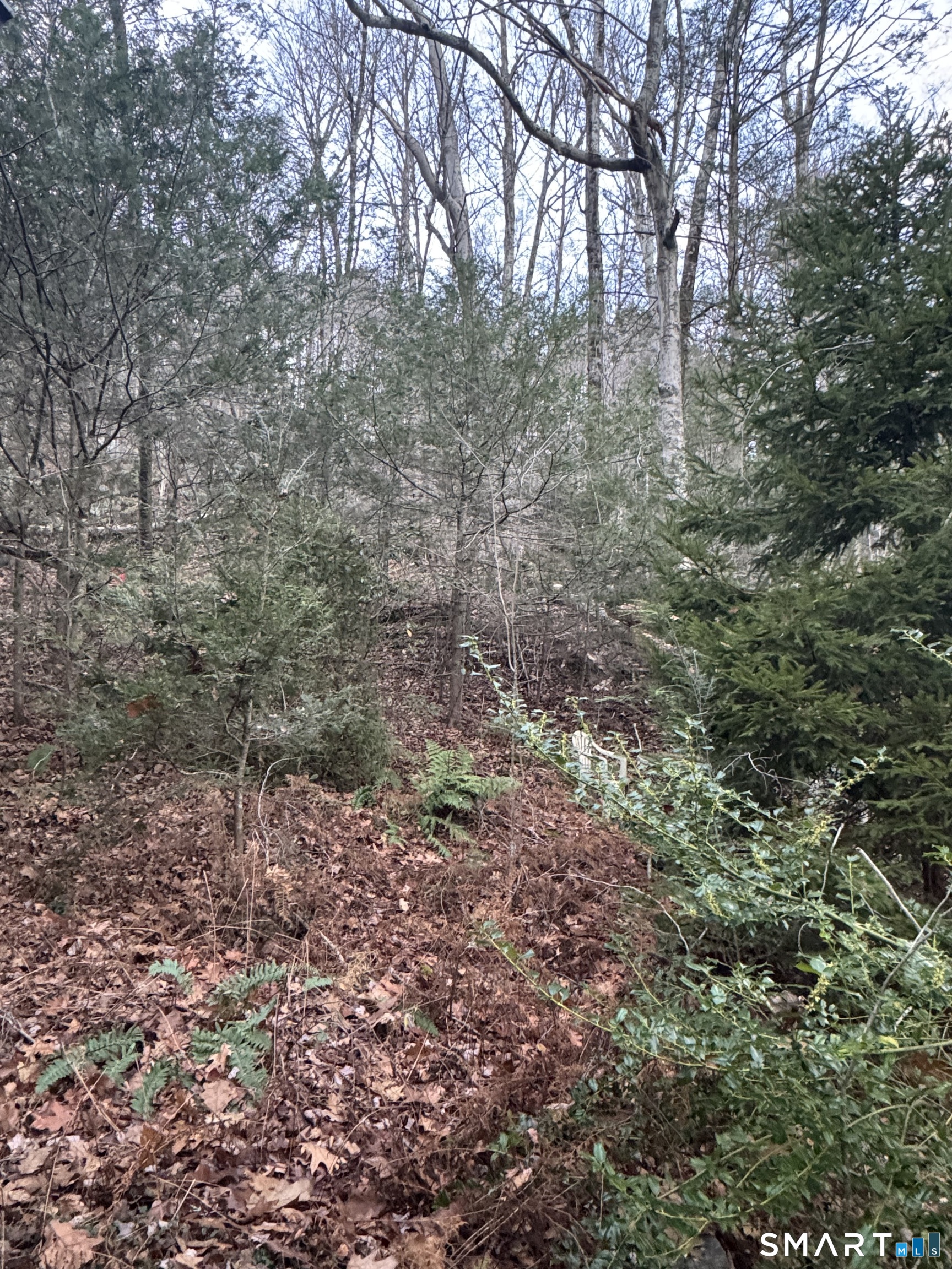 425 Colebrook River Road