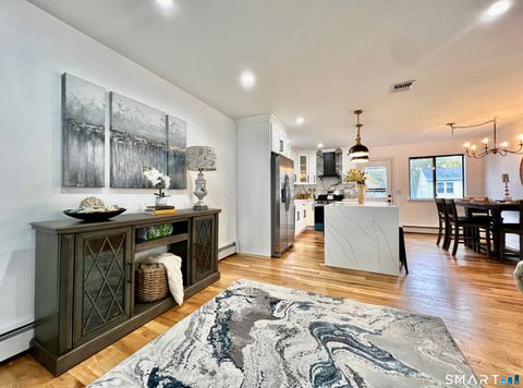 Tiny photo for 25 Wallace Street, Shelton, CT 06484 (MLS # 24169420)