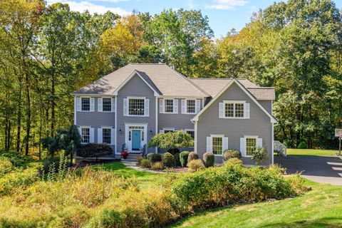 Photo of 10 Wedgewood Court, Newtown, CT 06470 (MLS # 24133943)