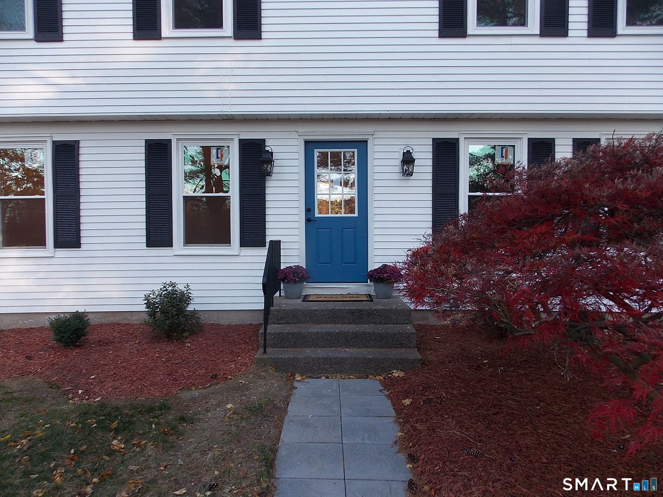 54 Hungary Road