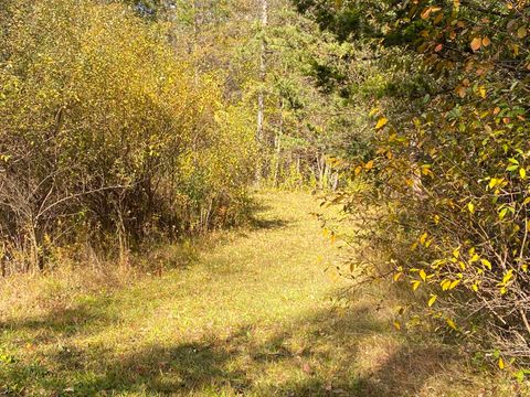 Tiny photo for 00 N Elm Street, North Canaan, CT 06018 (MLS # 24135593)