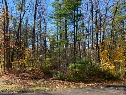 Tiny photo for 00 N Elm Street, North Canaan, CT 06018 (MLS # 24135593)