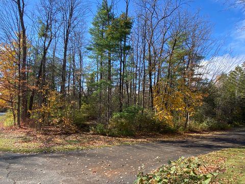 Photo of 00 N Elm Street, North Canaan, CT 06018 (MLS # 24135593)