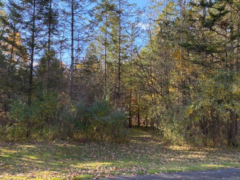 Tiny photo for 00 N Elm Street, North Canaan, CT 06018 (MLS # 24135593)