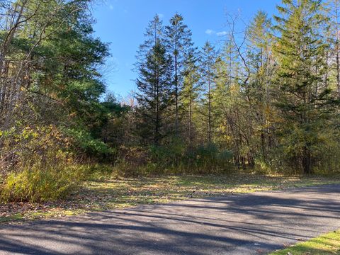 Tiny photo for 00 N Elm Street, North Canaan, CT 06018 (MLS # 24135593)