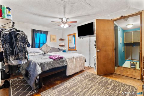 Tiny photo for 30 Barbara Avenue, East Hampton, CT 06424 (MLS # 24146570)