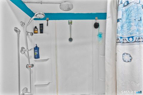 Tiny photo for 30 Barbara Avenue, East Hampton, CT 06424 (MLS # 24146570)