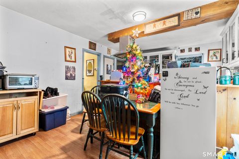 Tiny photo for 30 Barbara Avenue, East Hampton, CT 06424 (MLS # 24146570)