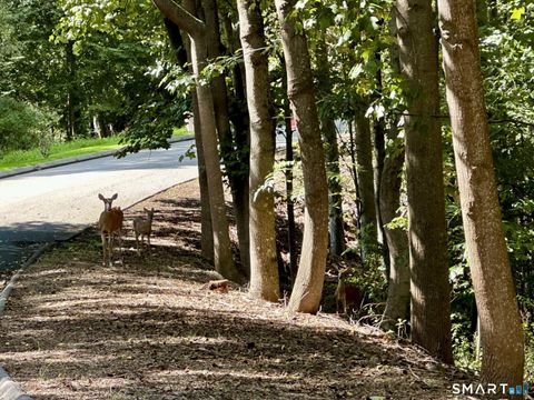 Tiny photo for 6A South Brook Drive, Stamford, CT 06903 (MLS # 24150725)