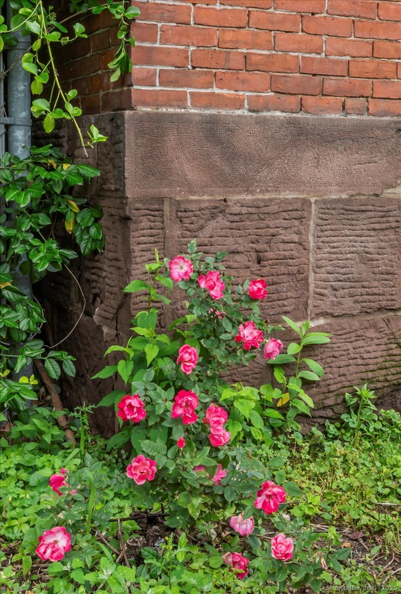 68 Morris Street #202, Hartford, Connecticut image 18