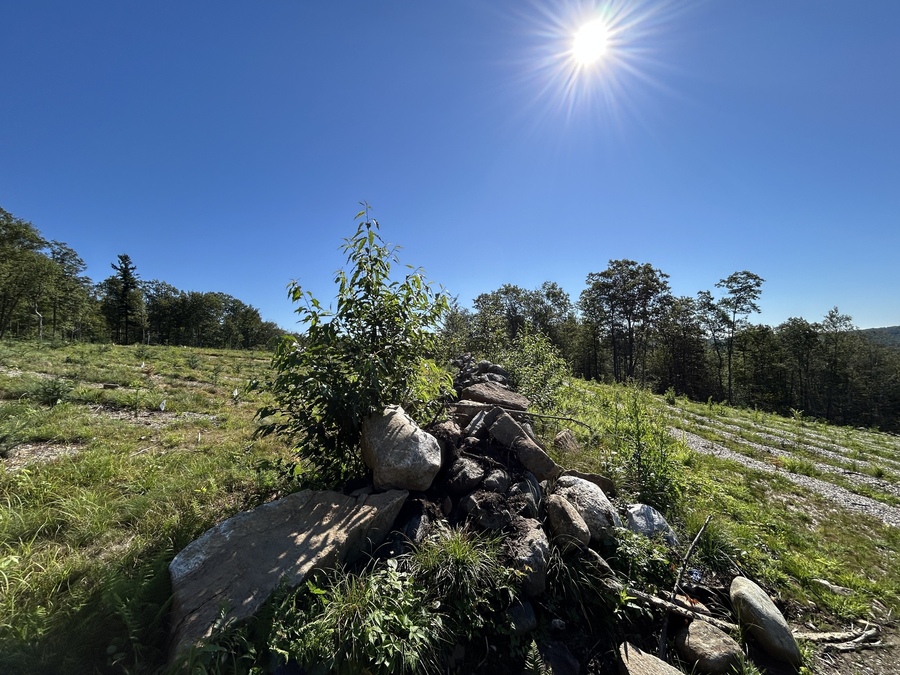 00 Prock Hill Road
