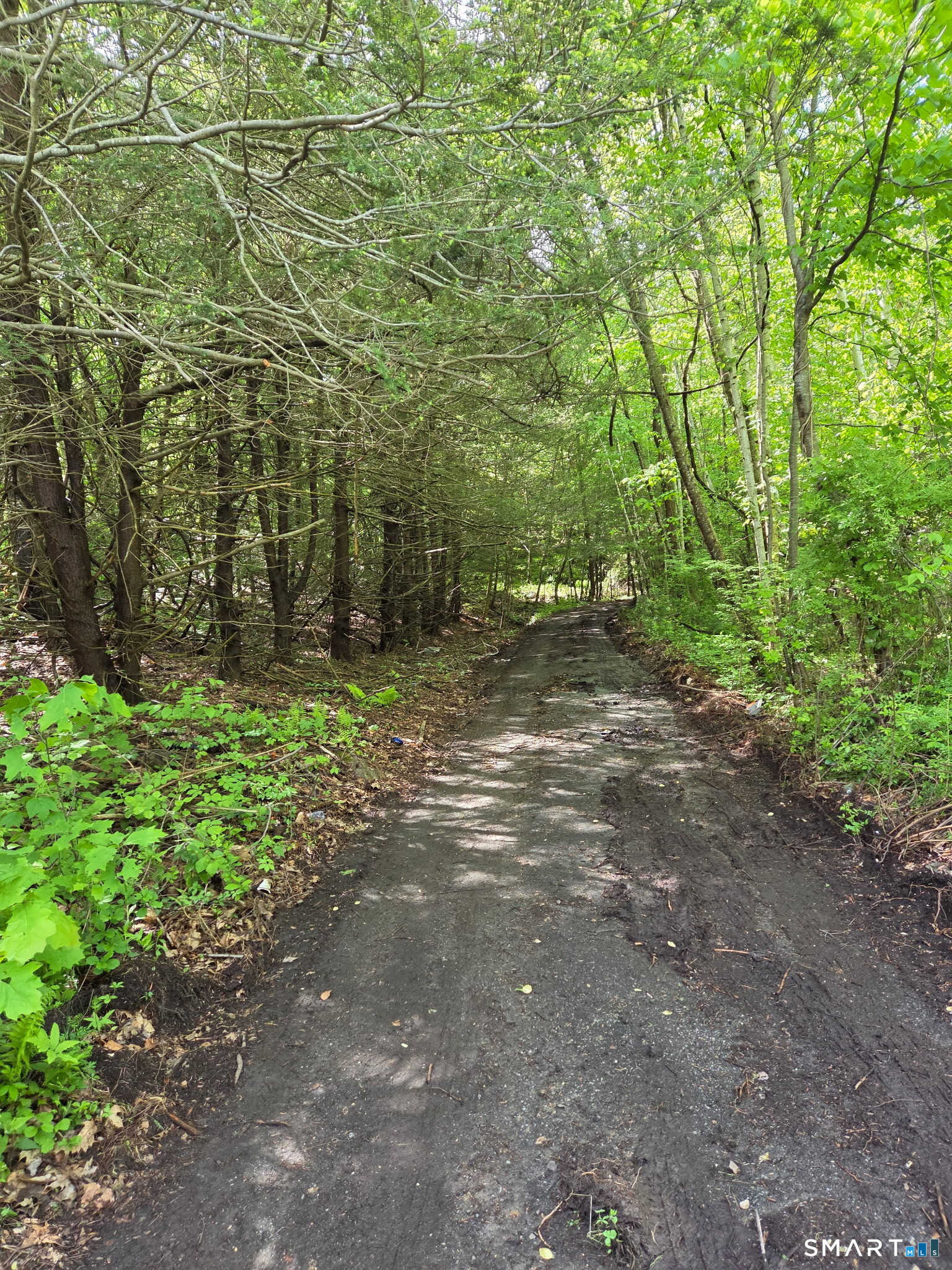 Davis Road