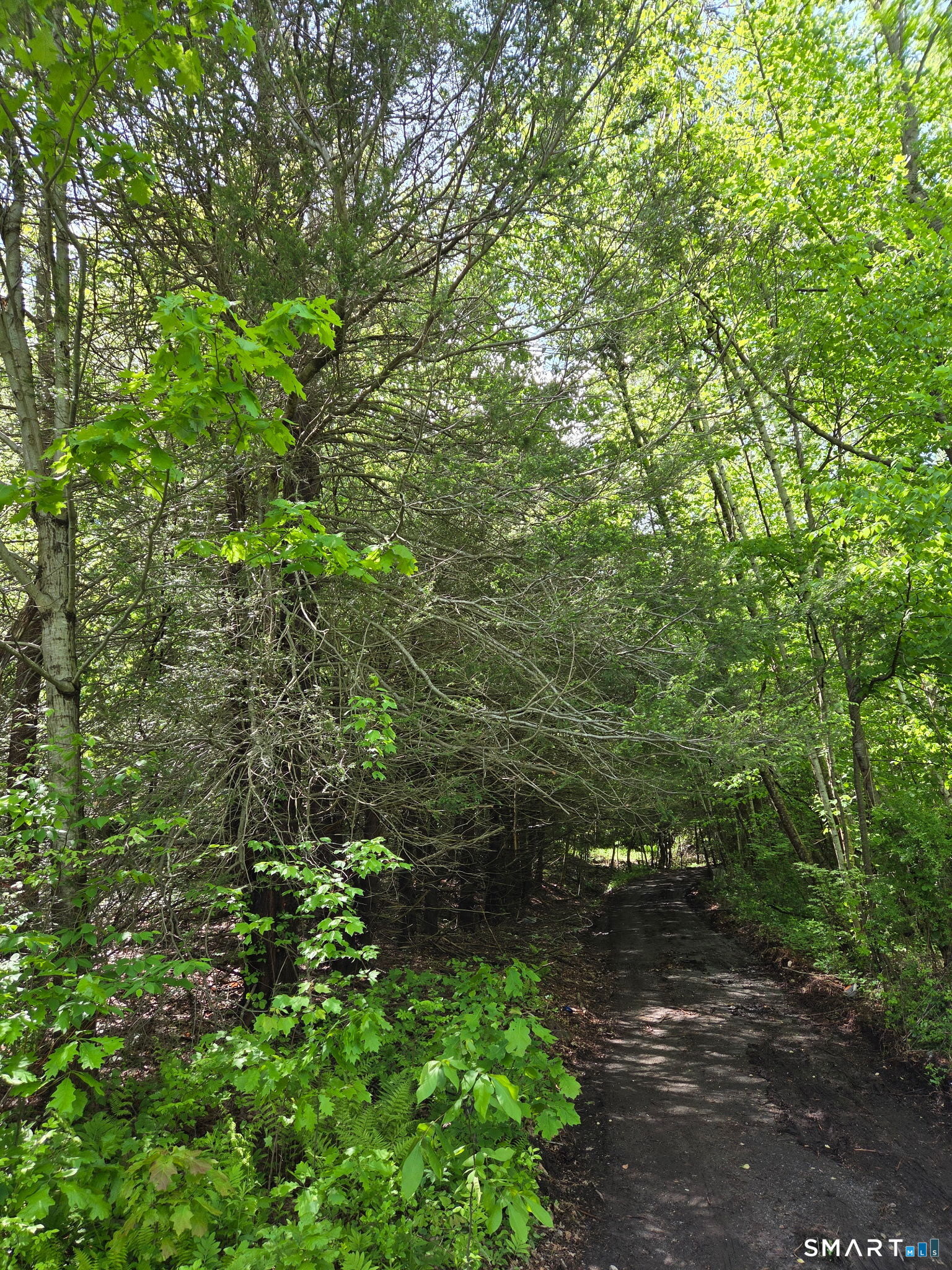 Davis Road