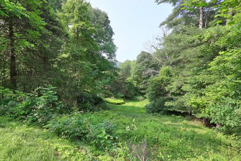 Tiny photo for 11 College Hill Road, North Canaan, CT 06018 (MLS # 24170495)