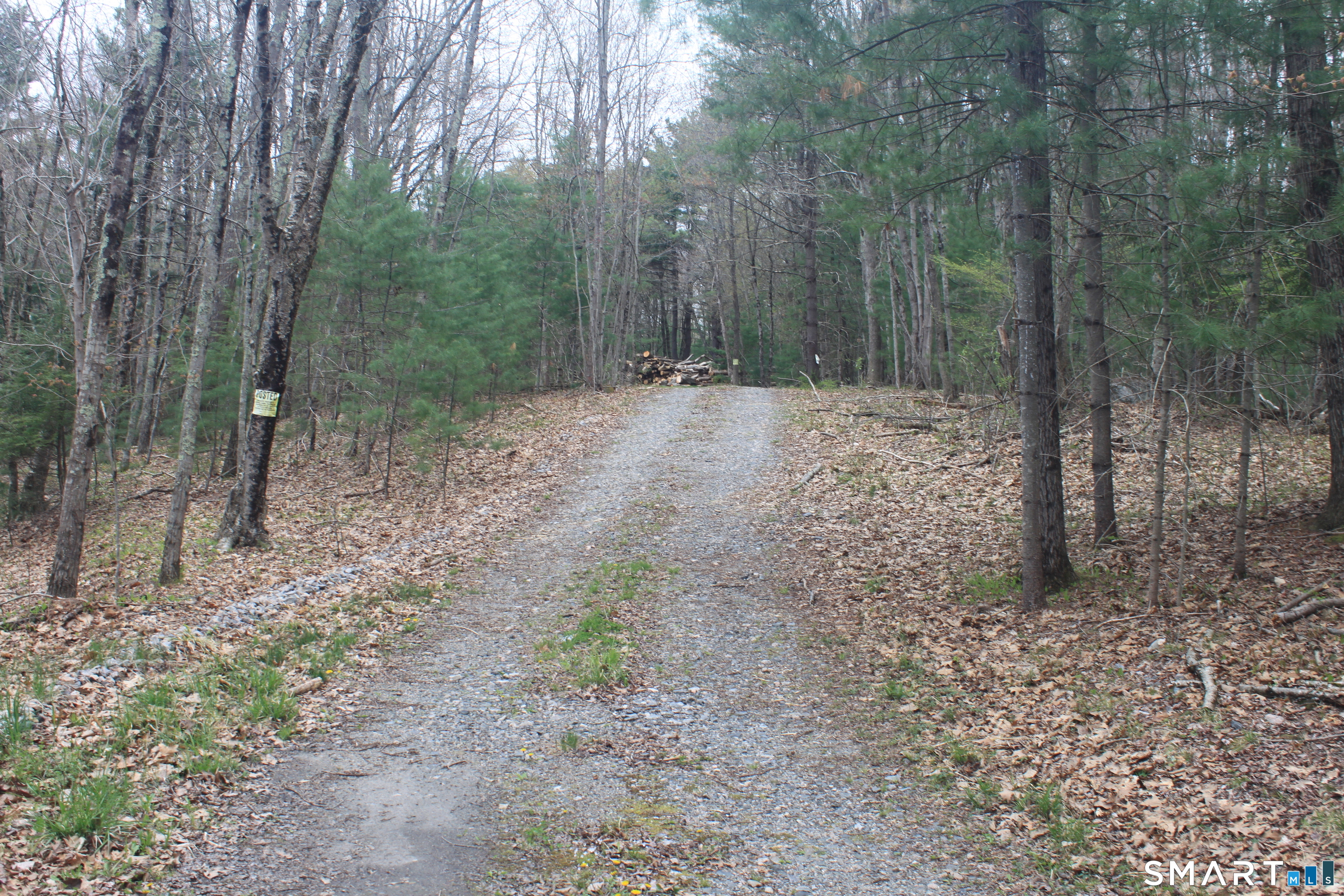 Nepaug Road