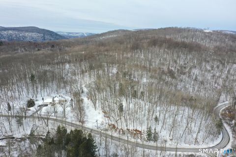 Tiny photo for 101 S Kent Road, New Milford, CT 06755 (MLS # 24154003)