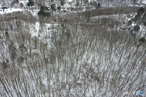 Tiny photo for 101 S Kent Road, New Milford, CT 06755 (MLS # 24154003)