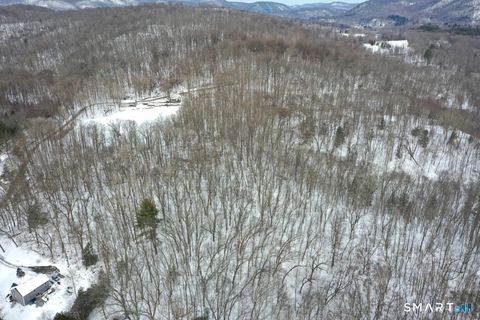 Tiny photo for 101 S Kent Road, New Milford, CT 06755 (MLS # 24154003)