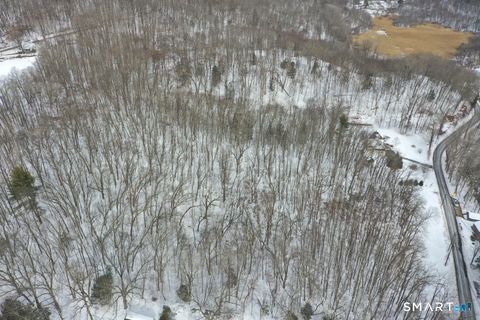 Tiny photo for 101 S Kent Road, New Milford, CT 06755 (MLS # 24154003)