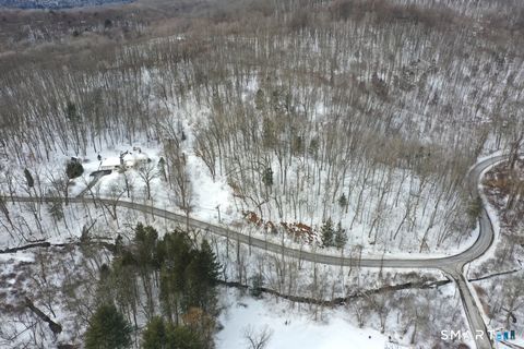 Tiny photo for 101 S Kent Road, New Milford, CT 06755 (MLS # 24154003)