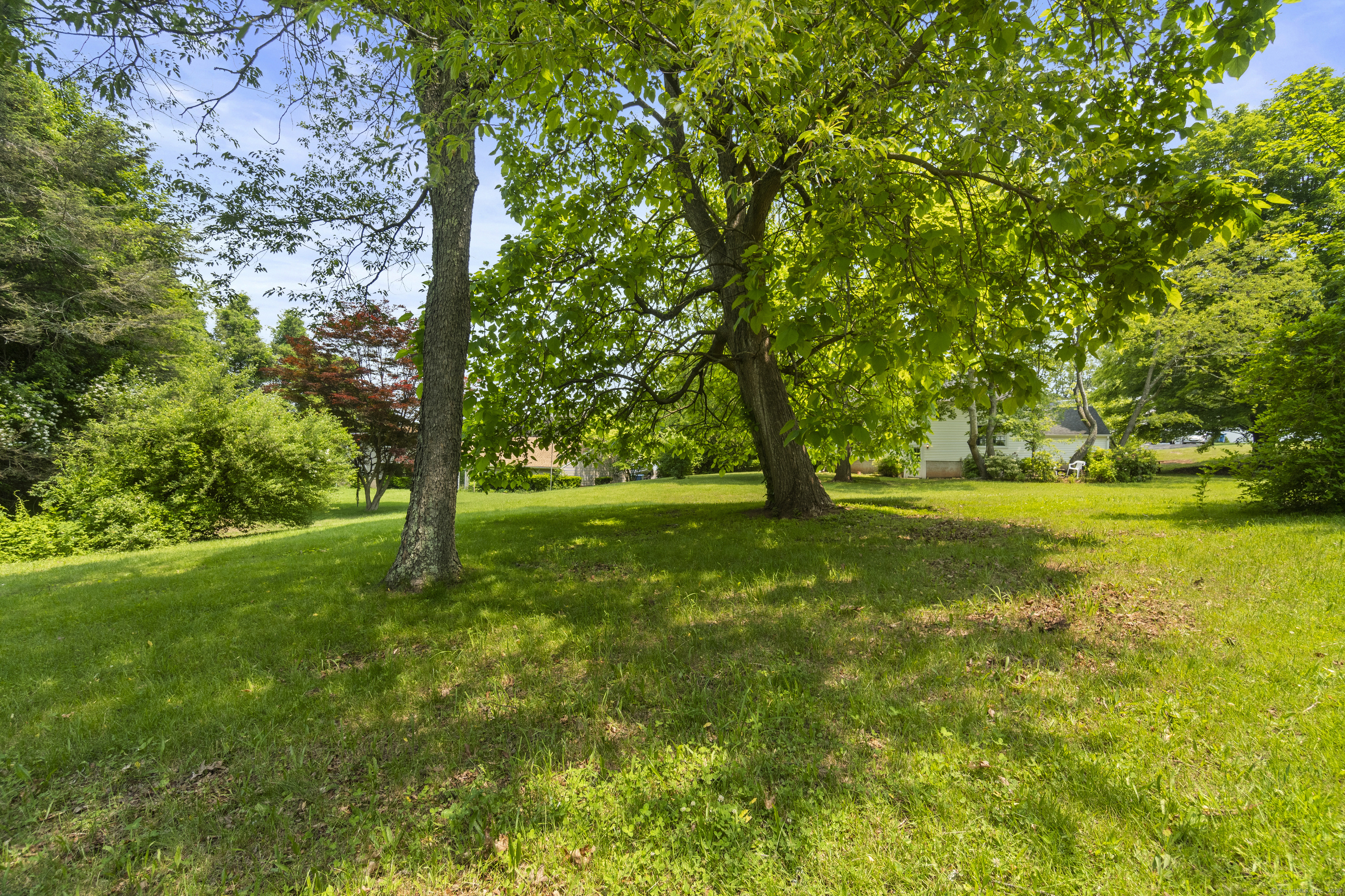 115 Earl Avenue