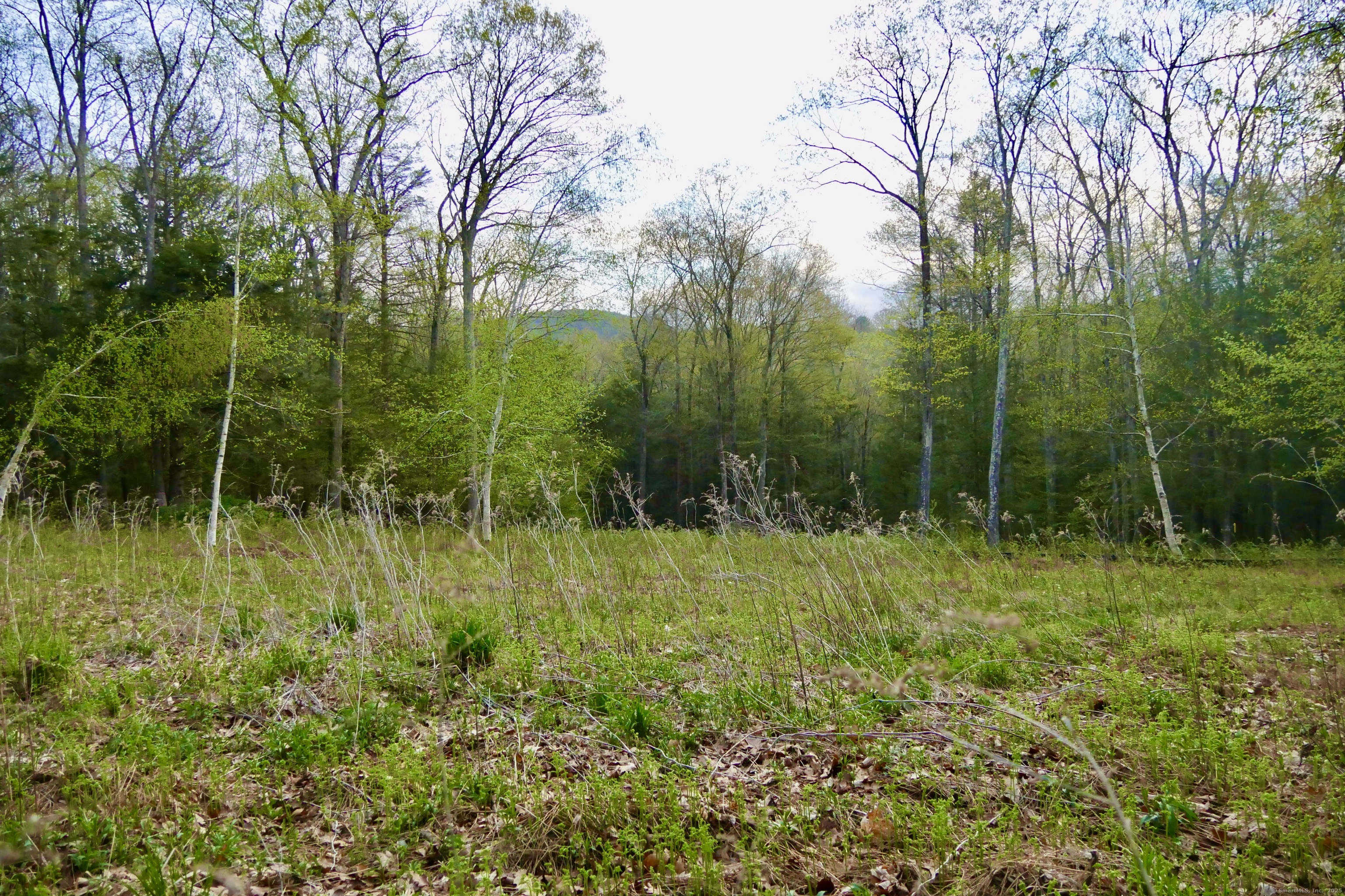 77 Belgo Road, Salisbury, Connecticut image 6