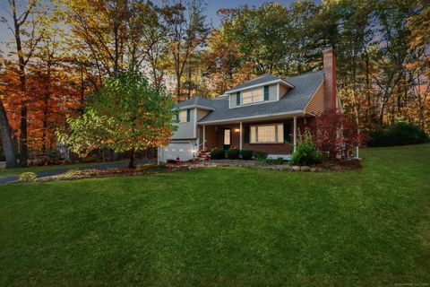 Photo of 28 Wheeler Road, Simsbury, CT 06070 (MLS # 24133653)