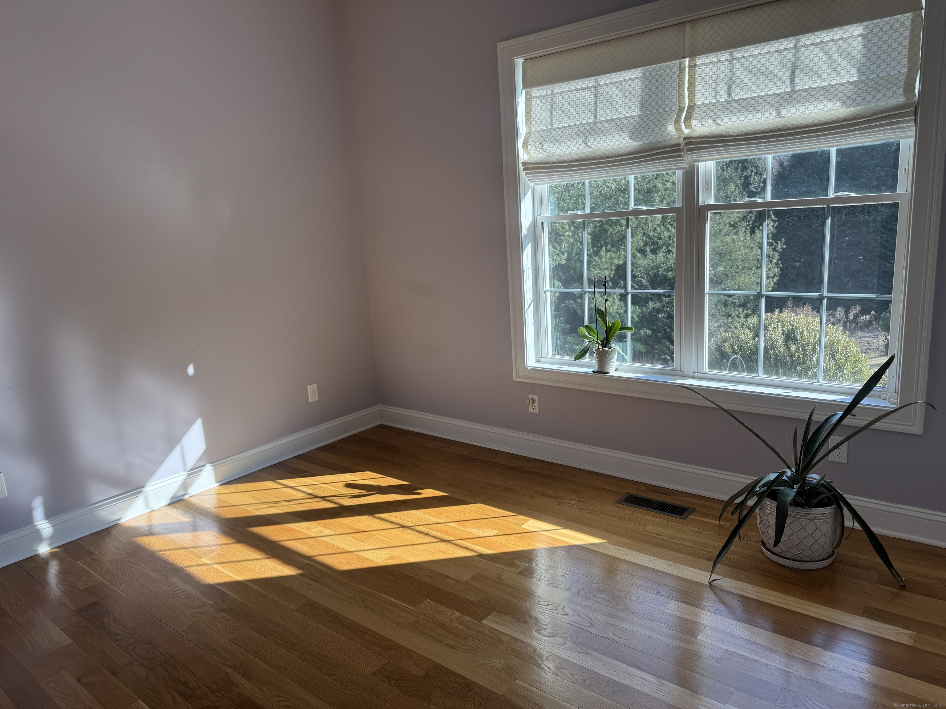 542 Huckins Road, Cheshire, Connecticut image 15