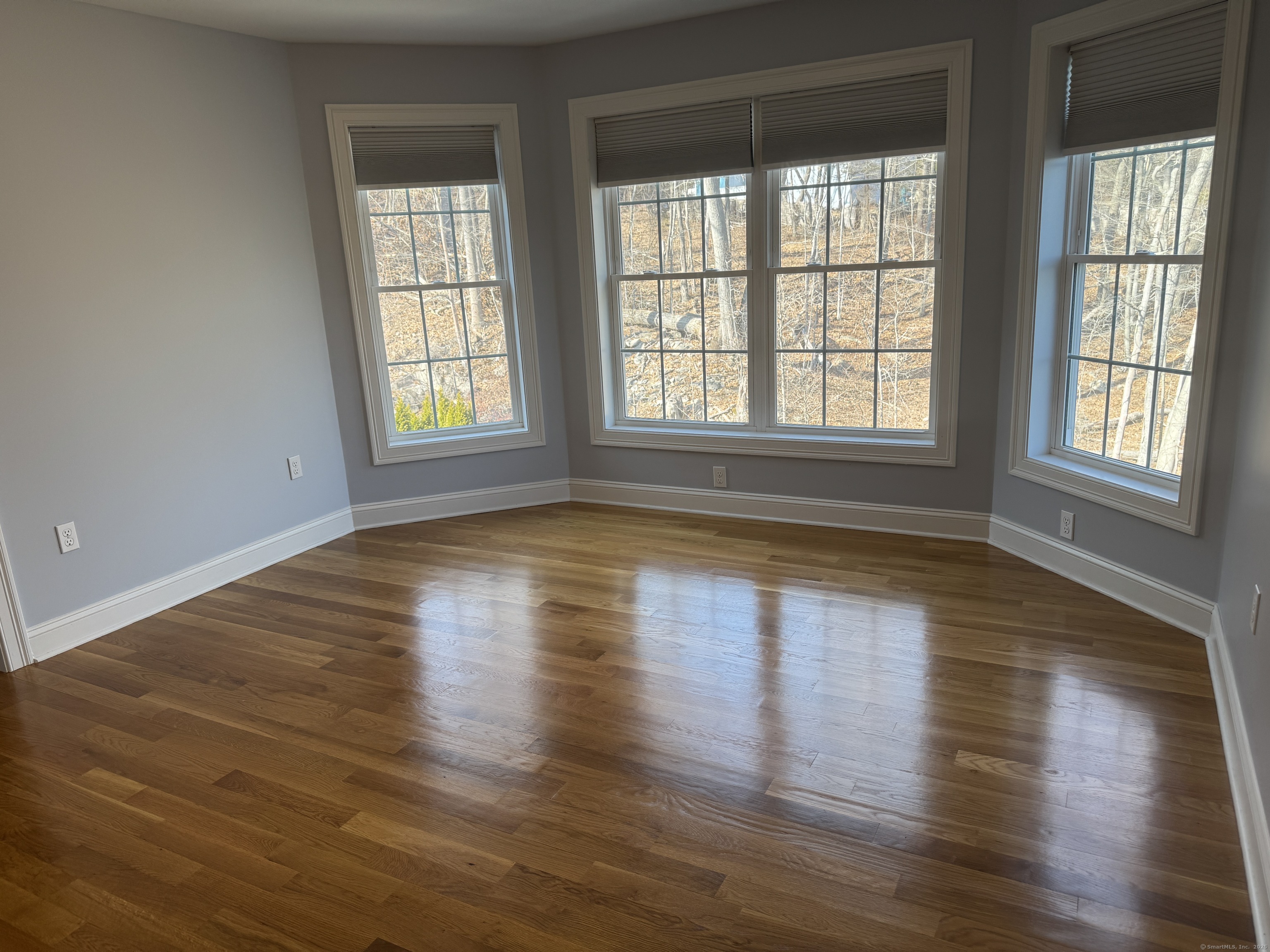542 Huckins Road, Cheshire, Connecticut image 21