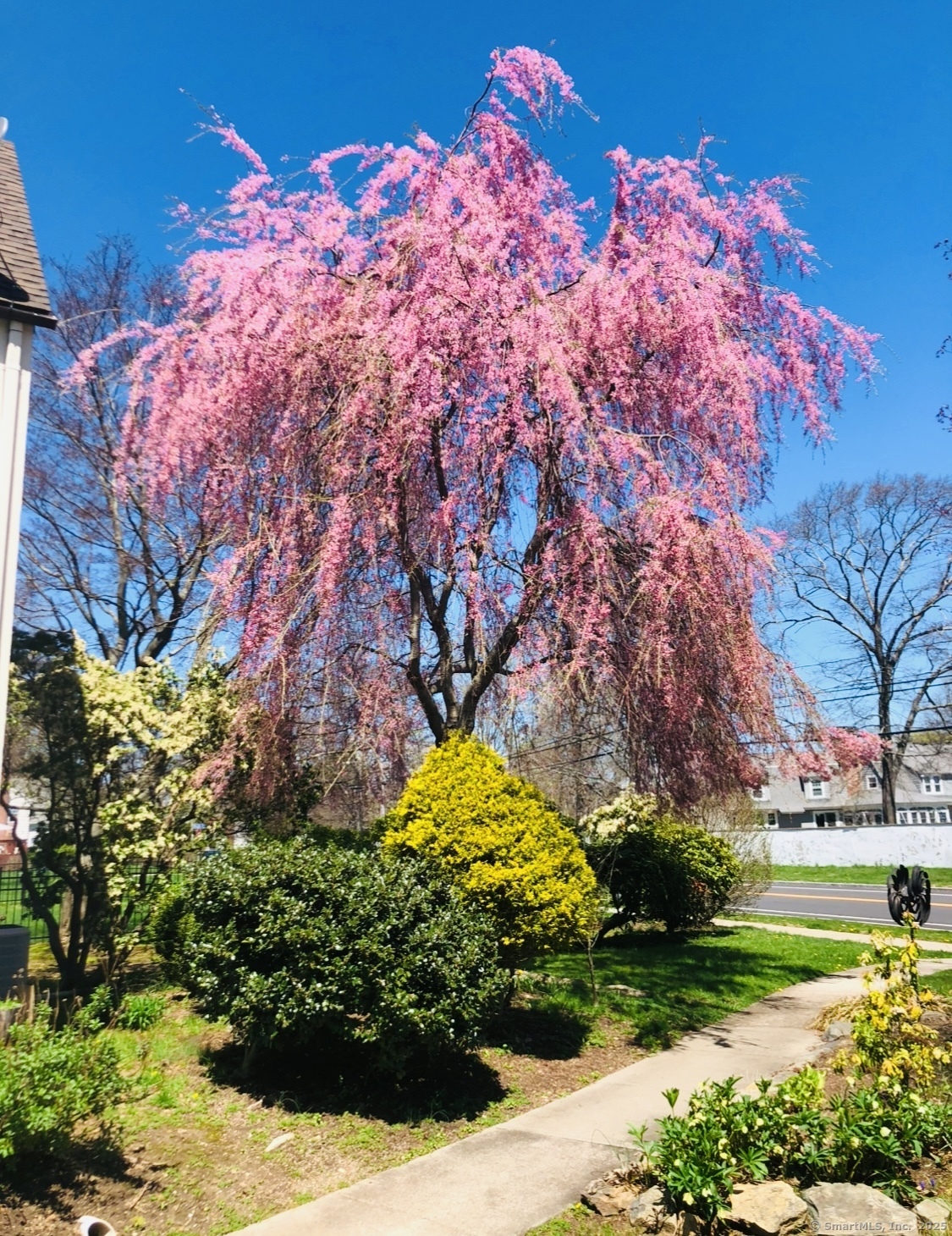 975 Ocean Avenue, New London, Connecticut image 10