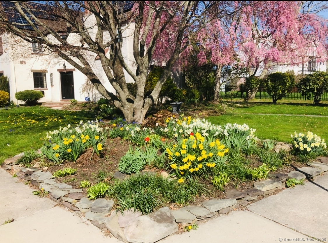975 Ocean Avenue, New London, Connecticut image 5