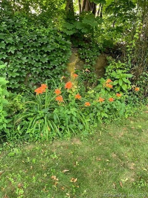 Tiny photo for 5 Belmont Place, Norwalk, CT 06853 (MLS # 24147603)