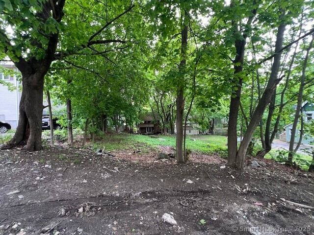 42 Bellevue Street, Waterbury, Connecticut image 1