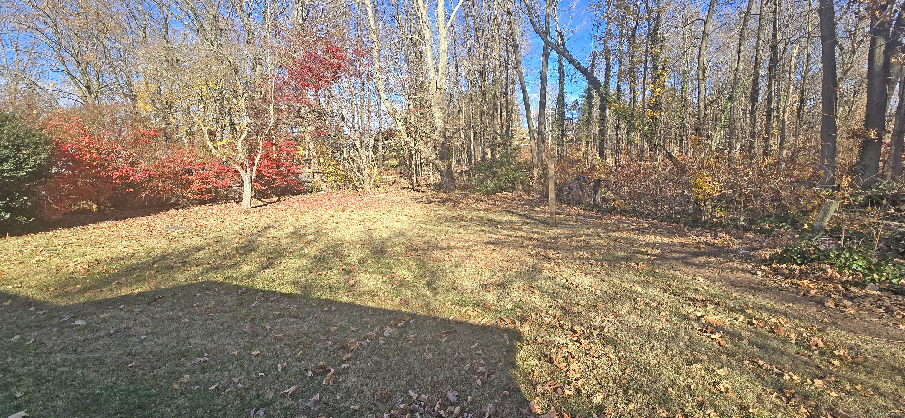 50 Twiss Avenue, Meriden, Connecticut image 5