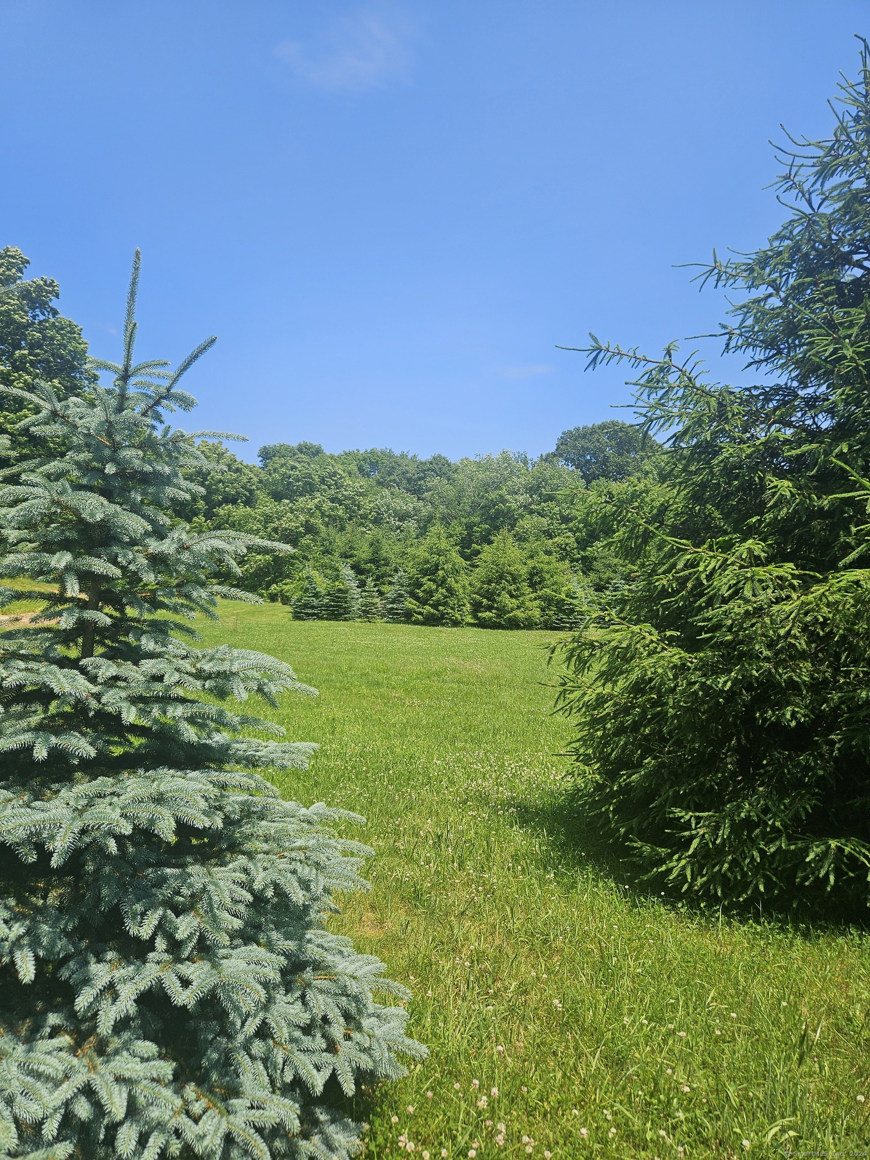 508 Al Harvey Road, Stonington, Connecticut image 4