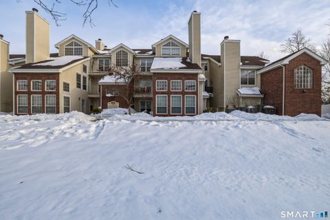 Photo of 299 Carriage Crossing Lane #299, Middletown, CT 06457 (MLS # 24155639)