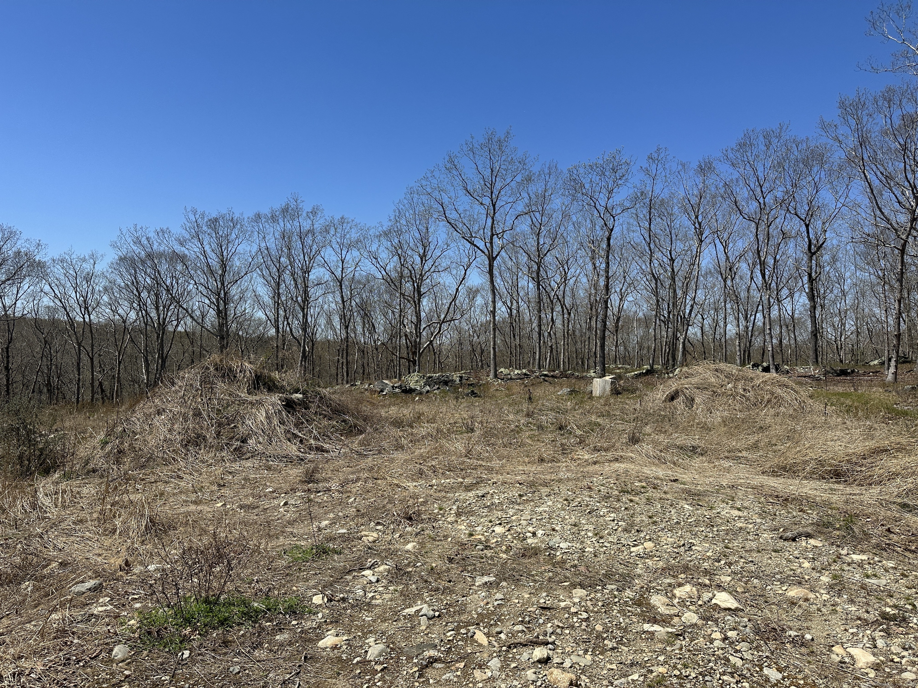 51 Ledgen Wood Road, North Stonington, Connecticut image 7