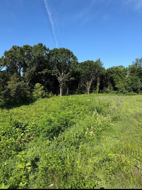 Vacant Land For Sale - 396 Gracey Avenue<br/> Meriden, CT 06451
