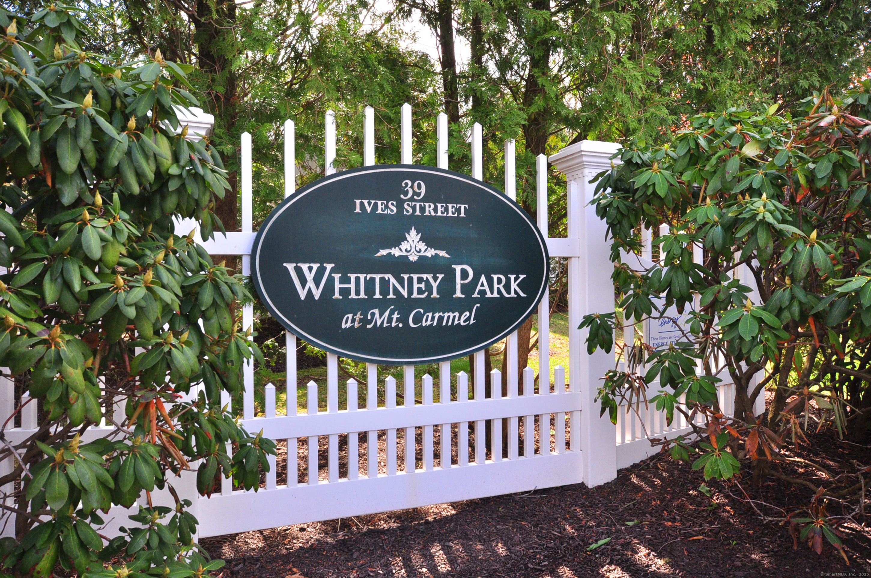 39 Ives Street #313, Hamden, Connecticut image 4