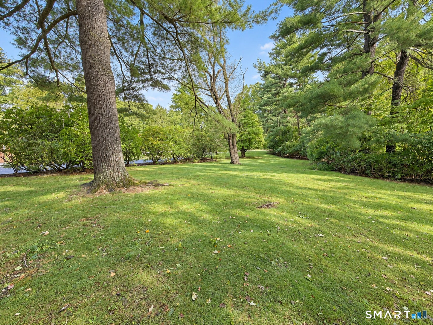 1 Tulip Tree Lane