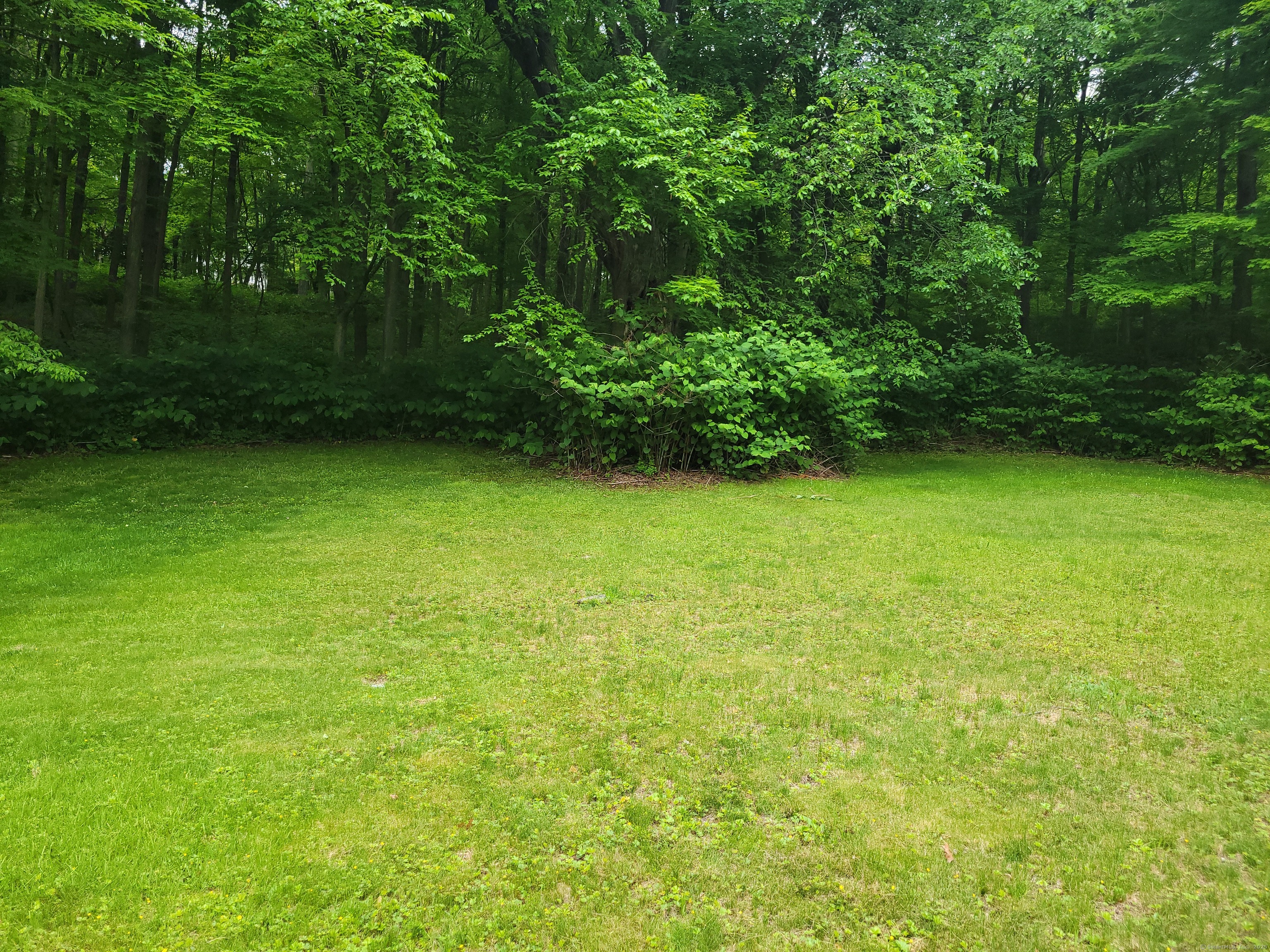 706 Waterville Street, Waterbury, Connecticut image 21