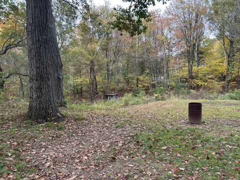 Tiny photo for 58 W Chippen Hill Road, Burlington, CT 06013 (MLS # 24133404)