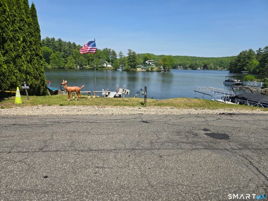 473 WINCHESTER RD, WINSTED, CT 06098 - Image 39f577b233ffbfc9ed74876b4f90fe8c/3998964248