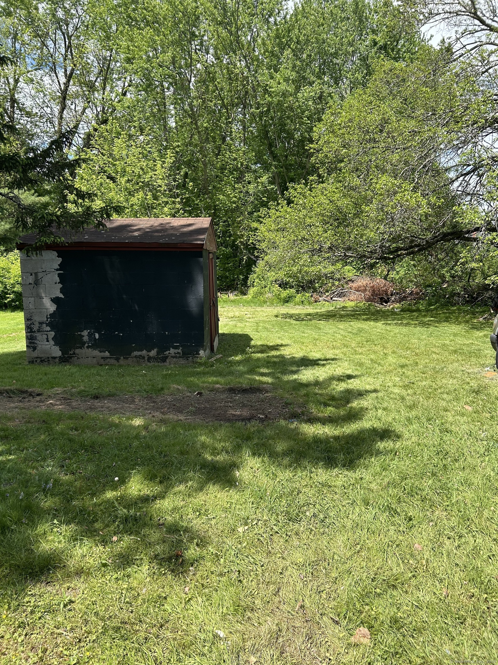 184 Frisbie Street, Middletown, Connecticut image 9