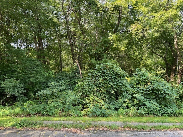 Green Avenue, Stonington, Connecticut image 5