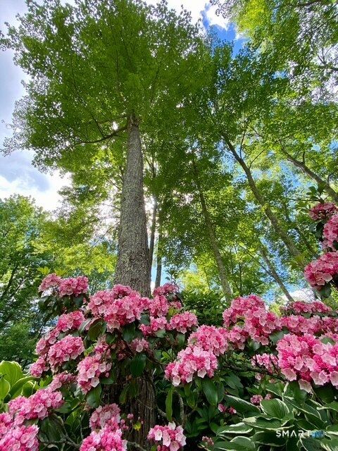 Tiny photo for 15 Two Pence Road, Ridgefield, CT 06877 (MLS # 24120117)