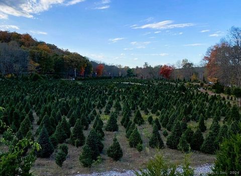 Tiny photo for Rr 6, Andover, CT 06232 (MLS # 24064143)